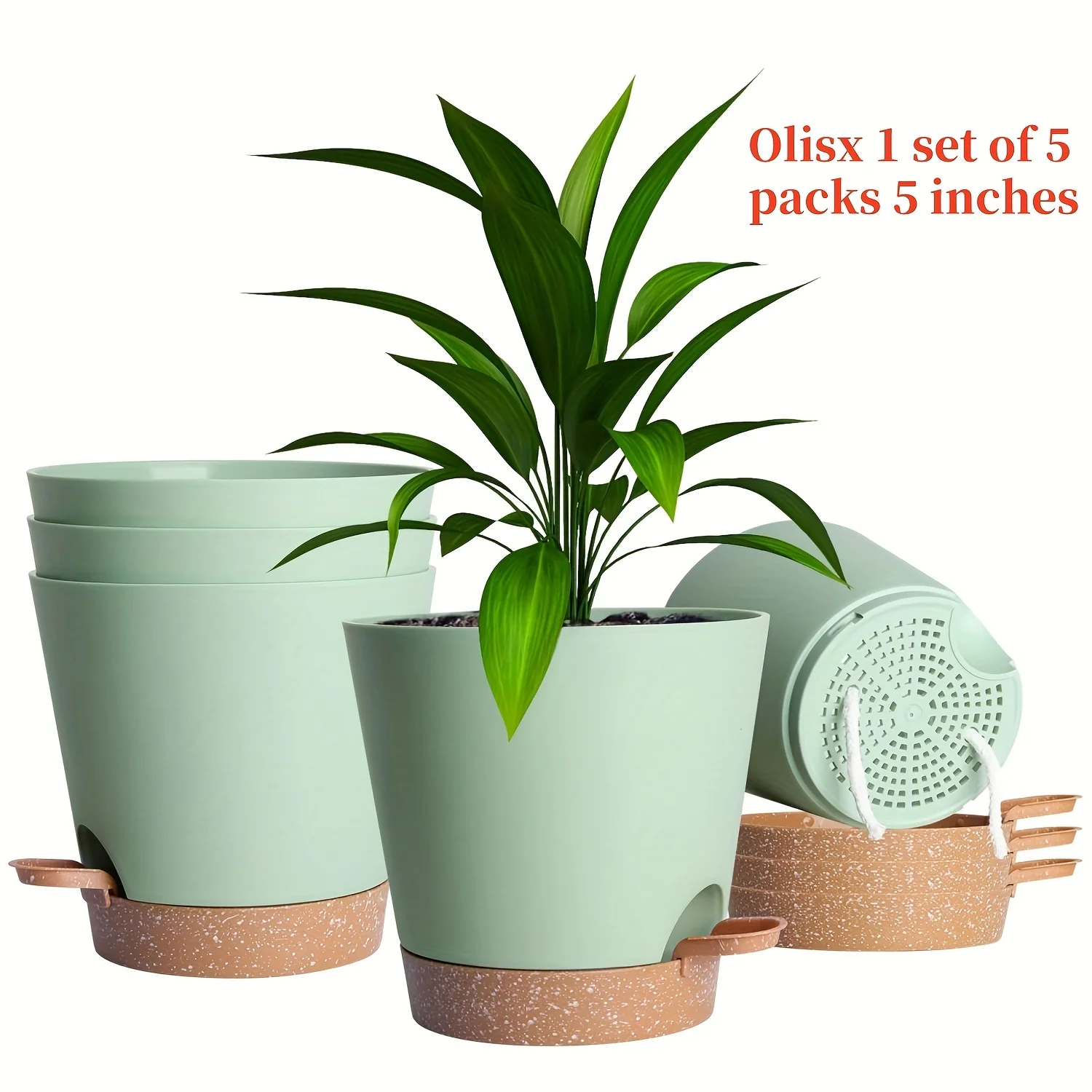 Automatic | Watering Olisx-H1405-5 Set of 5 Automatic Watering Flower Pots | Modern African Violet Pots with Drainage Holes And Trays | Suitable for Home Gardens, 5 Inches (Approximately 12.7 Cm)